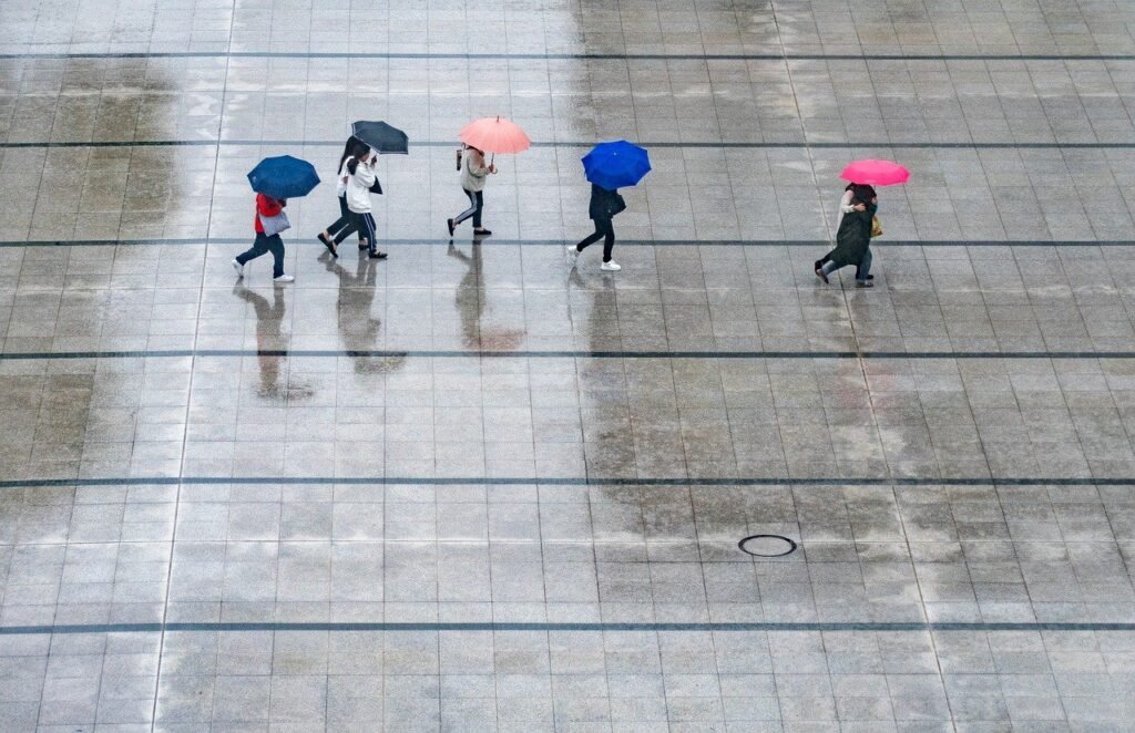 rain, people, umbrellas