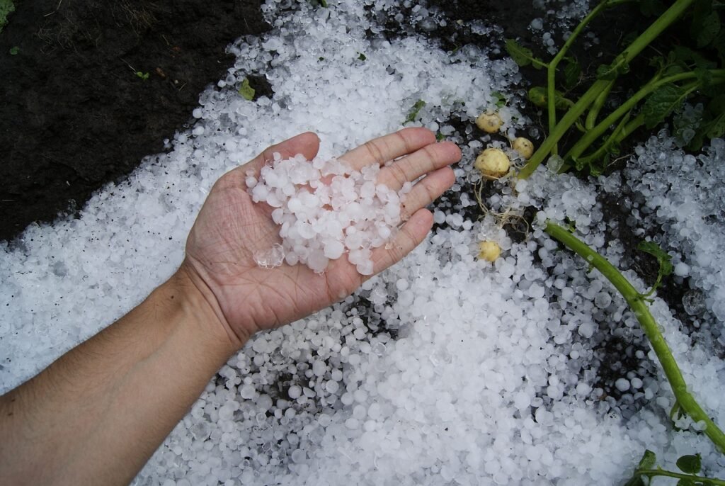 first snow, hail, summerotakoeleto